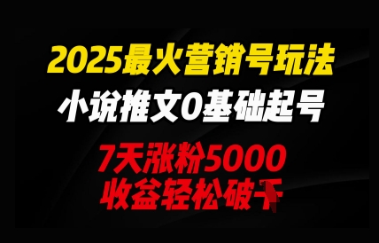 2025最火营销号玩法：小说推文0基础起号，7天涨粉5000，收益轻松破k-小何资源库