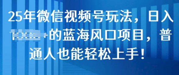25年微信视频号玩法，日入几张的蓝海风口项目，普通人也能轻松上手!-小何资源库