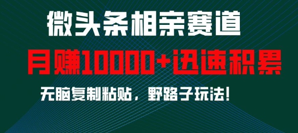 微头条相亲赛道，迅速积累，无脑复制粘贴，野路子玩法，月入1w-小何资源库
