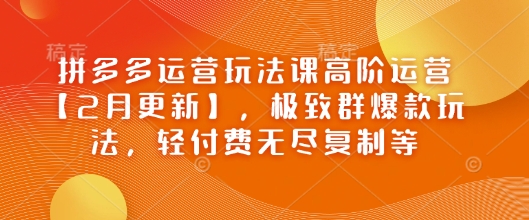 拼多多运营玩法课高阶运营【2月更新】，极致群爆款玩法，轻付费无尽复制等-小何资源库