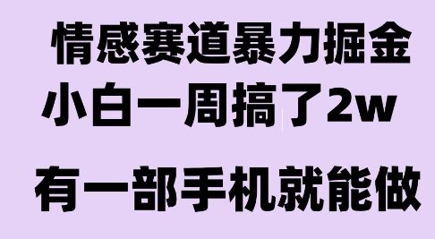 情感暴力掘金项目，新人操作一周挣了2W，长期稳定小白可做【揭秘】-小何资源库