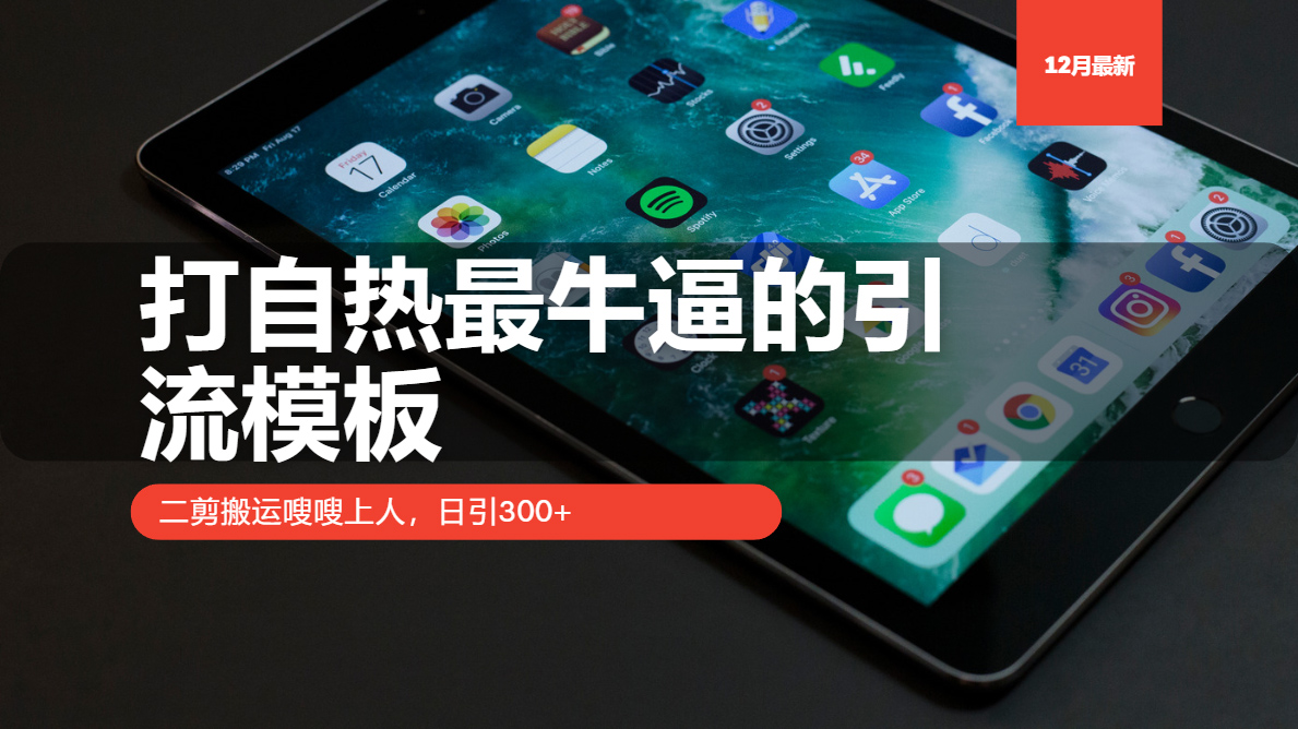 （13654期）打自热最牛逼的引流模板，二剪搬运嗖嗖上人，日引300+-小何资源库