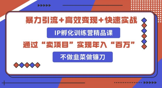 知识付费独家玩法：精准引流+高效变现，简单复制成功模式，最新IP共创导师训练营玩法-小何资源库