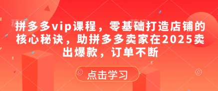 拼多多vip课程，零基础打造店铺的核心秘诀，助拼多多卖家在2025卖出爆款，订单不断-小何资源库