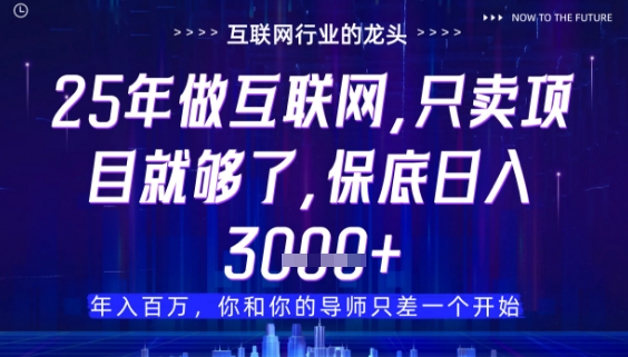 什么！25年你还在找项目做？风口早就变了，卖项目才是稳挣不赔【揭秘】-小何资源库