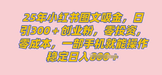 2025年小红书创业粉图文自热教程，日+300创业粉，单日变现多张，无脑操作，宝妈，小白抓紧冲-小何资源库