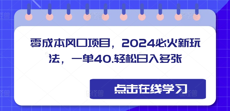 零成本风口项目，2024必火新玩法，一单40，轻松日入多张-小何资源库