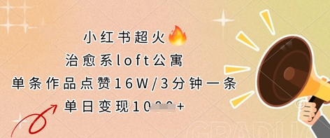 小红书超火的治愈系loft公寓，单条作品点赞16W，3分钟一条，单日变现数张-小何资源库