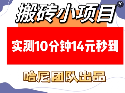 搬砖小项目，实测10分钟14元秒到，每天稳定几张(赠送必看稳定)-小何资源库