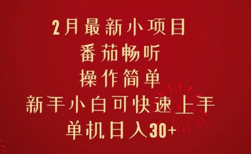 2月最新小项目，番茄畅听，操作简单，新手小白可快速上手，单机日入30+-小何资源库