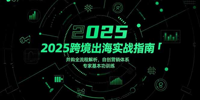 （15503期）2025跨境出海实战指南，并购全流程解析，自创营销体系，专家基本功训练-小何资源库