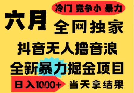 25年6月高爆抖音无人直播最新撸音浪掘金项目，小白可做，无脑日入1k+，门槛低可批量矩阵【揭秘】-小何资源库