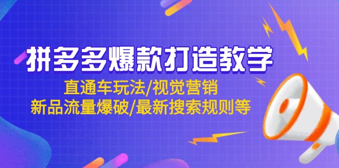 （14681期）拼多多爆款打造教学：直通车玩法/视觉营销/新品流量爆破/最新搜索规则等-小何资源库