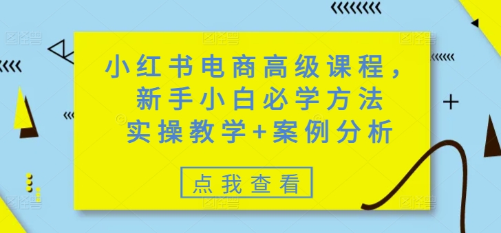小红书电商高级课程，新手小白必学方法，实操教学+案例分析-小何资源库