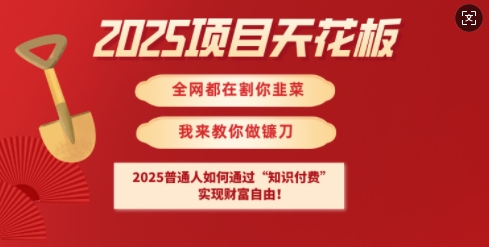 2025项目天花板普通人如何通过知识付费，实现财F自由【揭秘】-小何资源库