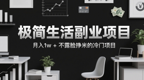 极简生活副业项目，月入1w+不露脸挣米的冷门项目-小何资源库