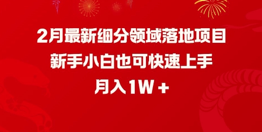 2月最新细分领域落地项目，新手小白也可快速上手，月入1W-小何资源库