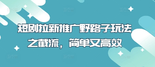 短剧拉新推广野路子玩法之截流，简单又高效-小何资源库