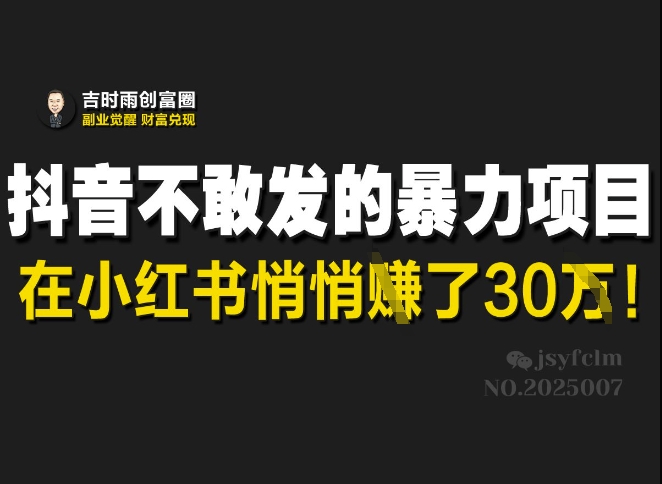 抖音不敢发的暴利项目，在小红书悄悄挣了30W-小何资源库