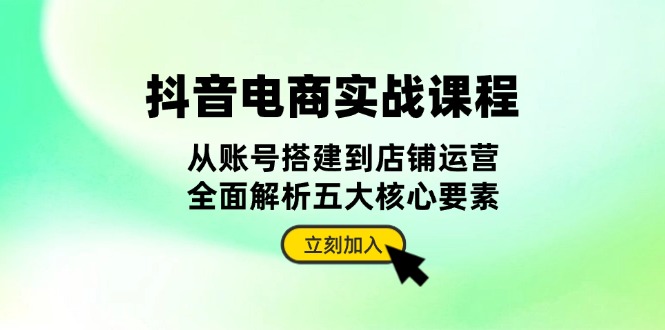 （13350期）抖音 电商实战课程：从账号搭建到店铺运营，全面解析五大核心要素-小何资源库