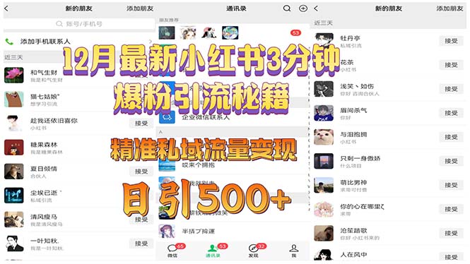 （13653期）12月最新小红书3分钟爆粉引流秘籍 精准私域流量变现 日引500+-小何资源库