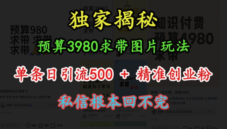 预算3980求带 图片玩法，单条日引流500+精准创业粉，私信根本回不完-小何资源库