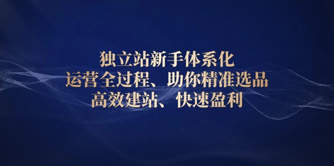（13914期）独立站新手体系化 运营全过程，助你精准选品、高效建站、快速盈利-小何资源库