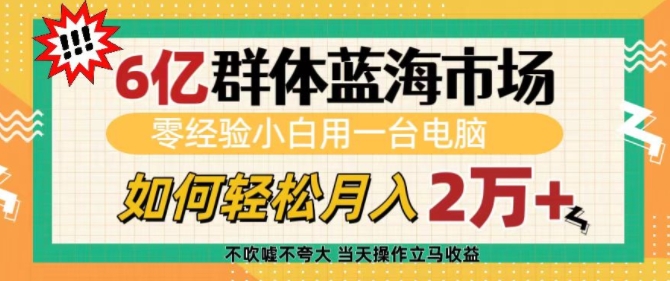6亿群体蓝海市场，零经验小白用一台电脑，如何轻松月入过w【揭秘】-小何资源库