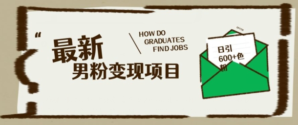 最新男粉变现项目，日引100+S粉，流量爆炸，小白轻松上手-小何资源库
