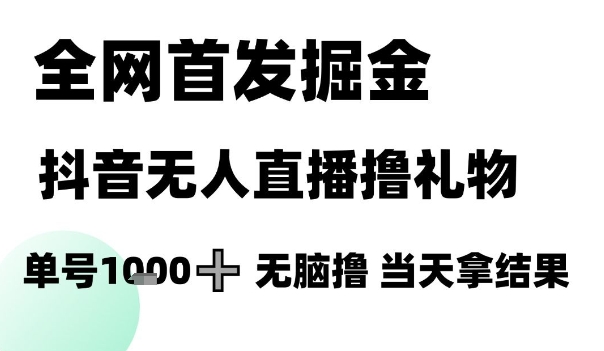 全网首发掘金抖音无人直播撸礼物，单号1k +无脑撸，当天拿结果【揭秘】-小何资源库