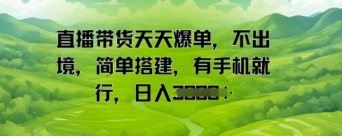 直播带货天天爆单，不出境，简单搭建，有手机就行，日入多张-小何资源库