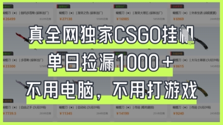 真全网独家CSGO挂G，单日捡漏1k+【揭秘】-小何资源库