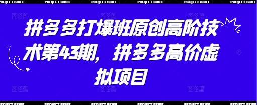拼多多打爆班原创高阶技术第43期，拼多多高价虚拟项目-小何资源库