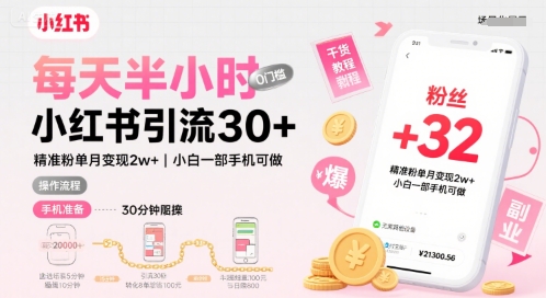 每天半小时小红书引流30+，精准粉单月变现2w+，小白新手一部手机可做，今天5分钟硬核实操-小何资源库