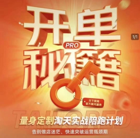 淘宝开单秘籍PRO，量身定制淘天实战陪跑计划，告别做店迷茫、快速突破运营瓶颈期-小何资源库