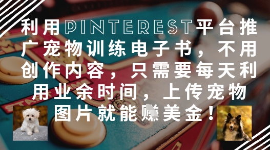 利用Pinterest平台推广宠物训练电子书，不用创作内容，只需要每天利用业余时间，上传宠物图片就能挣美金!-小何资源库