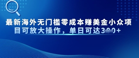 最新海外无门槛美金小众项目可放大操作，单日可达3张-小何资源库