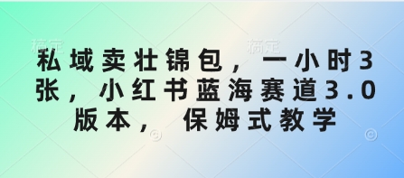 私域卖壮锦包，一小时3张，小红书蓝海赛道3.0版本， 保姆式教学-小何资源库