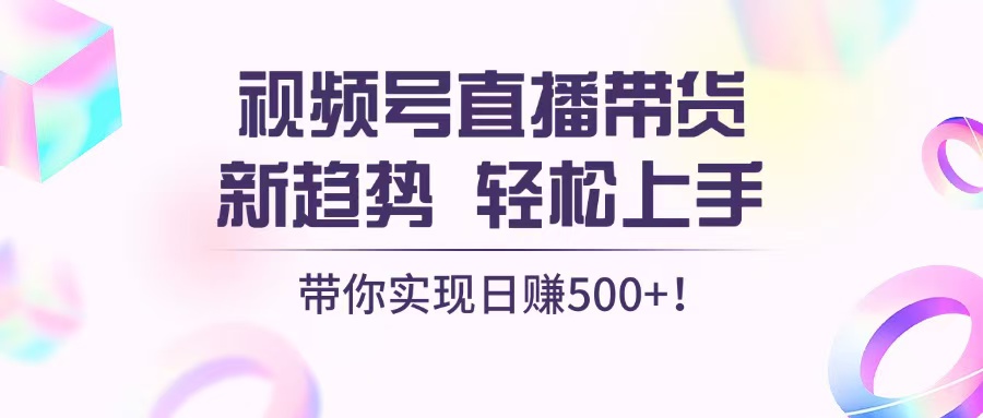 （13370期）视频号直播带货新趋势，轻松上手，带你实现日赚500+-小何资源库
