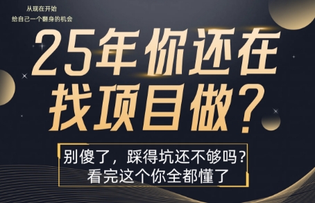 25年，你还在疯狂的找项目吗？别傻了，看完这个你都懂了【揭秘】-小何资源库