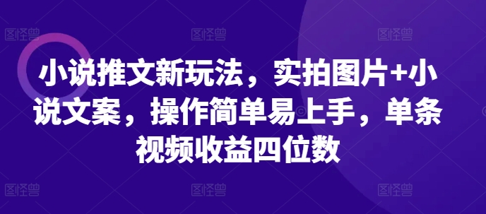 小说推文新玩法，实拍图片+小说文案，操作简单易上手，单条视频收益四位数-小何资源库
