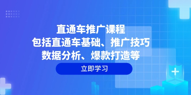（14001期）直通车推广课程：包括直通车基础、推广技巧、数据分析、爆款打造等-小何资源库