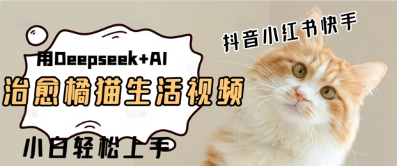疯狂火爆，用Deepseek+AI做治愈橘猫系列视频，小白轻松制作+快速拿到结果-小何资源库