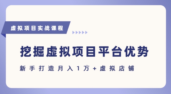 抓住虚拟项目各平台优势，新手轻松月入1W+(给出具体建议)-小何资源库