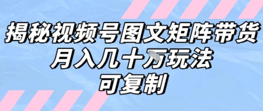 解密视频号图文矩阵带货，月入几个W的打法，可复制-小何资源库