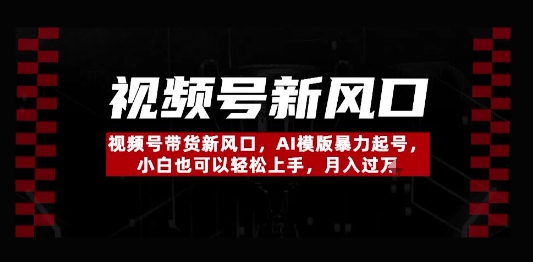 视频号带货新风口，AI模版暴力起号，小白也可以轻松上手，月入过W-小何资源库
