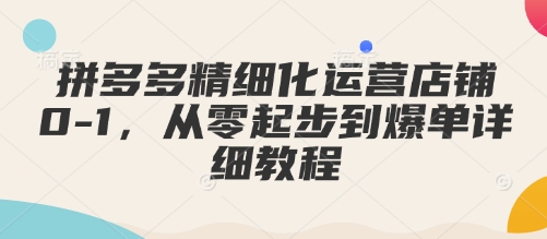 拼多多精细化运营店铺0-1，从零起步到爆单详细教程-小何资源库
