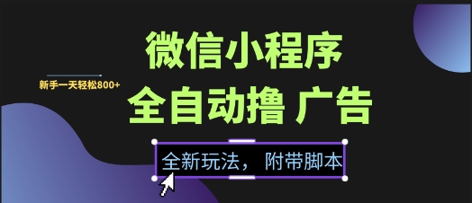 微信小程序全自动撸广告项目，彻底解决没流量的问题，新手一天8张+【揭秘】-小何资源库