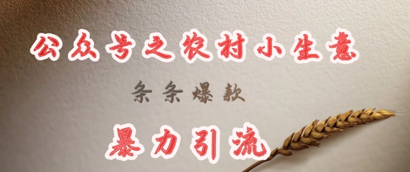 deepseek写农村小项目，条条爆款，暴力引流-小何资源库