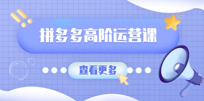 （14327期）拼多多高阶运营课：极致群爆款玩法，轻付费无尽复制，打造单品爆款之路-小何资源库